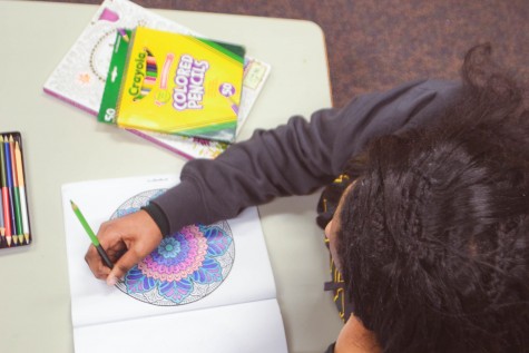 Coloring Book Craze
