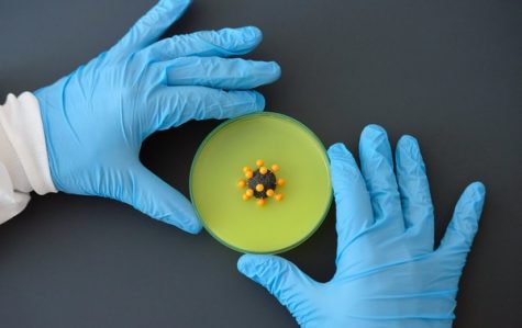 A Look at the Latest COVID-19 Numbers