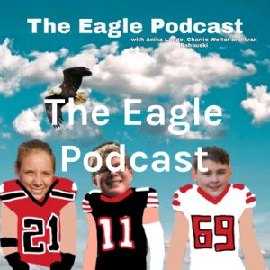 Eagle Podcast Episode 2- Week 7 of the NFL Review