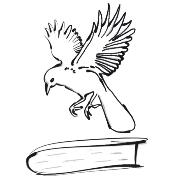 Should To Kill A Mockingbird still be taught in schools?